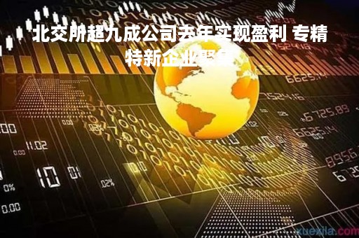 北交所超九成公司去年实现盈利 专精特新企业聚集