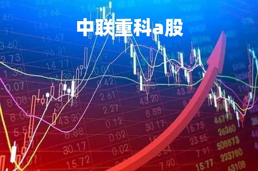 中联重科a股
