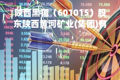 陕西黑猫（601015）股东陕西黄河矿业(集团)有限责任公司质押1.04亿股，占总股本5.09%