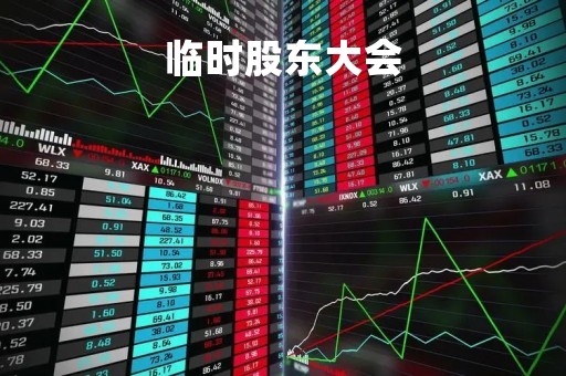 临时股东大会