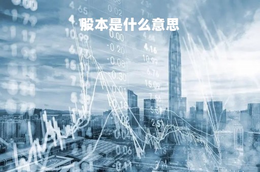 股本是什么意思