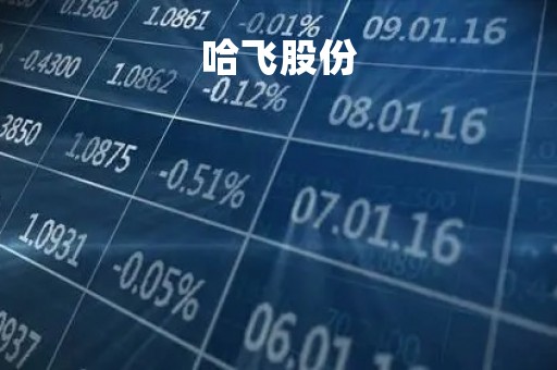 哈飞股份