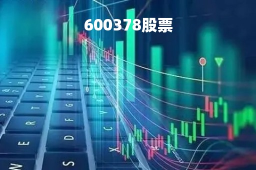 600378股票