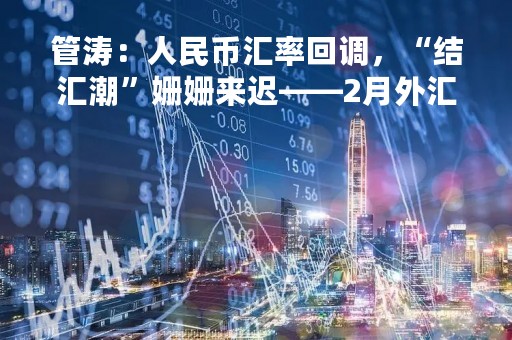 管涛：人民币汇率回调，“结汇潮”姗姗来迟——2月外汇市场分析报告
