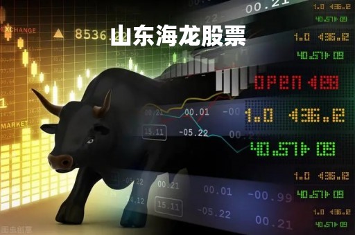 山东海龙股票