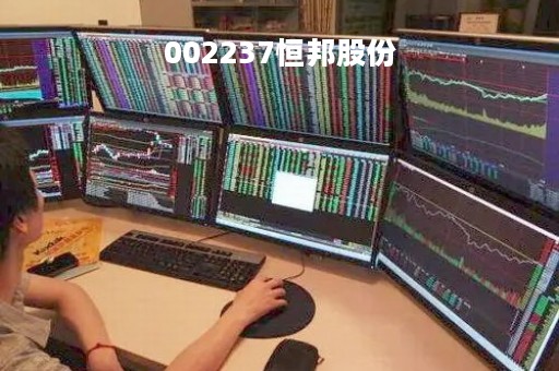 002237恒邦股份