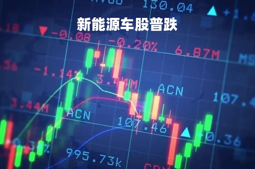 新能源车股普跌