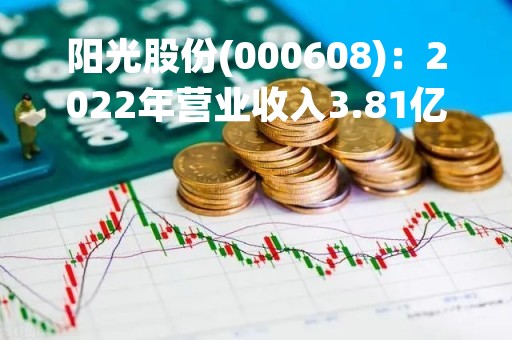 阳光股份(000608)：2022年营业收入3.81亿元，与上期同比减少32.84%