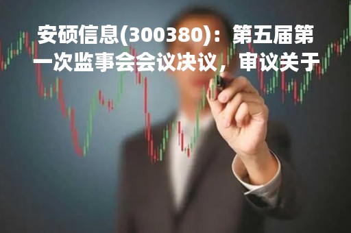 安硕信息(300380)：第五届第一次监事会会议决议，审议关于选举公司第五届监事会主席的议案