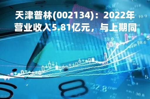 天津普林(002134)：2022年营业收入5.81亿元，与上期同比减少17.05%