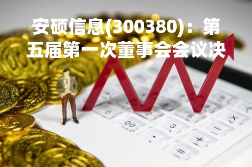 安硕信息(300380)：第五届第一次董事会会议决议，审议《关于选举公司第五届董事会董事长的议案》等议案