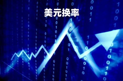 美元换率