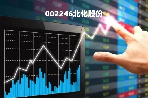 002246北化股份