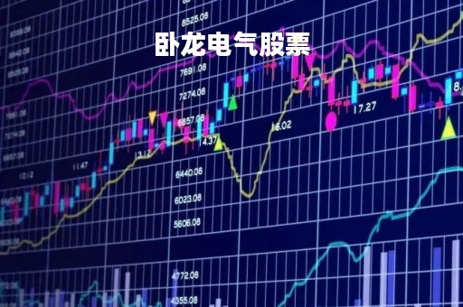 卧龙电气股票