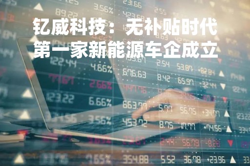 钇威科技：无补贴时代第一家新能源车企成立