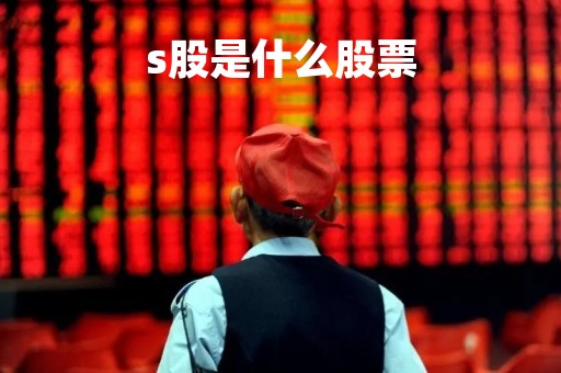 s股是什么股票