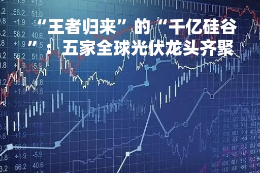 “王者归来”的“千亿硅谷”：五家全球光伏龙头齐聚，1700亿硅料巨头当地豪掷60亿，上下游企业“足不出园” 无缝对接
