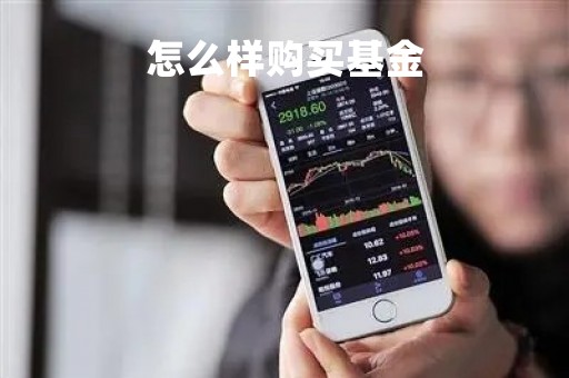 怎么样购买基金
