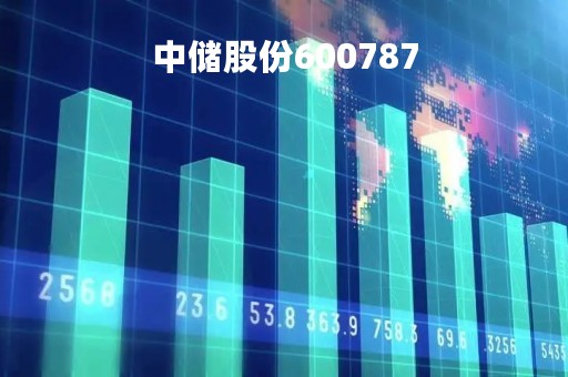 中储股份600787