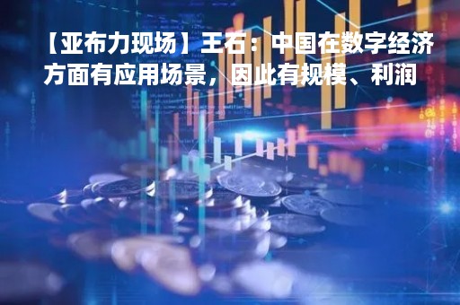 【亚布力现场】王石：中国在数字经济方面有应用场景，因此有规模、利润