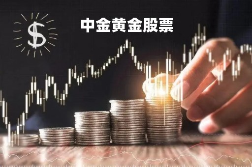 中金黄金股票