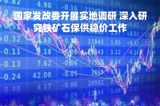 国家发改委开展实地调研 深入研究铁矿石保供稳价工作