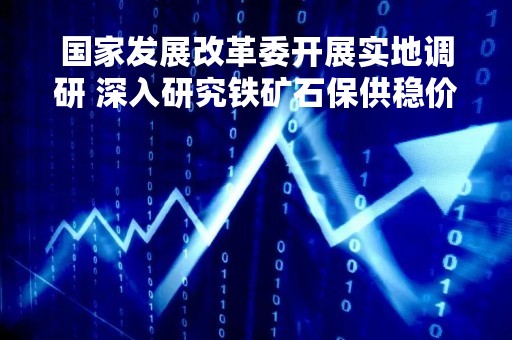 国家发展改革委开展实地调研 深入研究铁矿石保供稳价工作