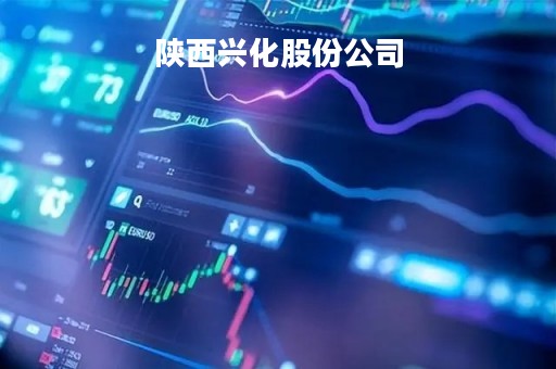 陕西兴化股份公司