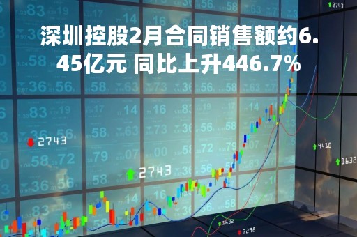 深圳控股2月合同销售额约6.45亿元 同比上升446.7%
