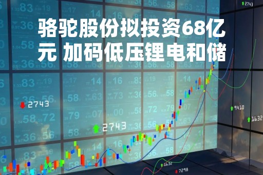 骆驼股份拟投资68亿元 加码低压锂电和储能