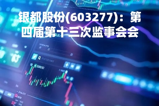 银都股份(603277)：第四届第十三次监事会会议决议，审议关于公司向全资孙公司提供担保的议案等议案