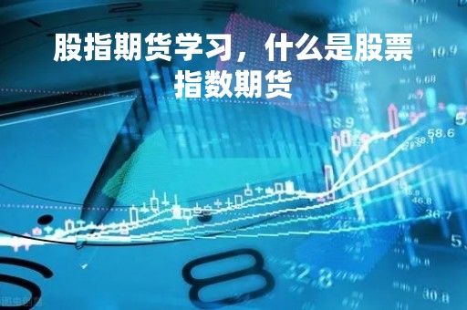 股指期货学习，什么是股票指数期货