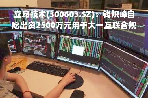立昂技术(300603.SZ)：钱炽峰自愿出资2500万元用于大一互联合规体系的建立与完善及补充流动资金