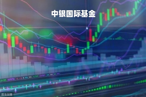 中银国际基金