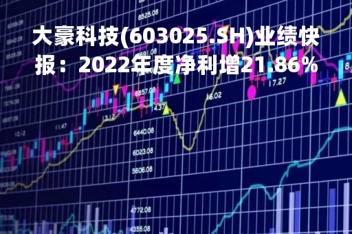 大豪科技(603025.SH)业绩快报：2022年度净利增21.86%至4.36亿元