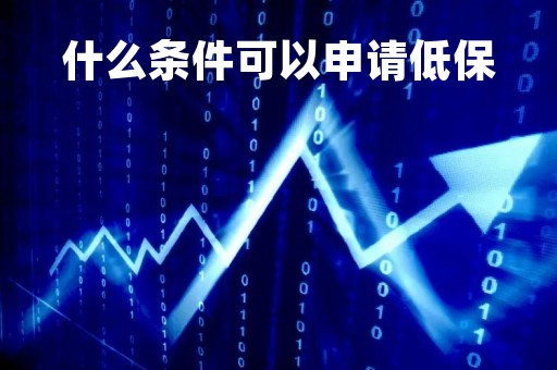 什么条件可以申请低保
