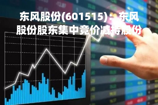 东风股份(601515)：东风股份股东集中竞价减持股份计划公告