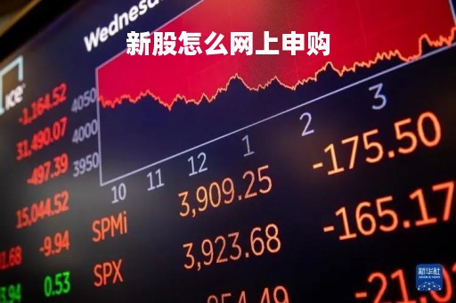 新股怎么网上申购