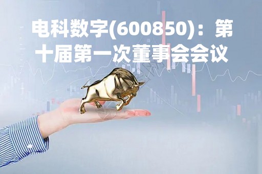 电科数字(600850)：第十届第一次董事会会议决议，审议《关于选举公司第十届董事会董事长的议案》等议案