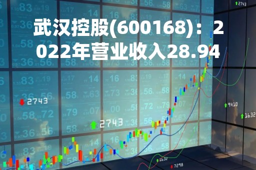 武汉控股(600168)：2022年营业收入28.94亿元，与上期同比增加1.13%