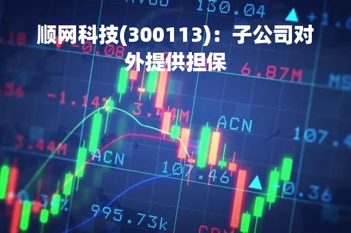 顺网科技(300113)：子公司对外提供担保