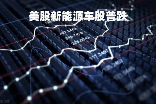 美股新能源车股普跌