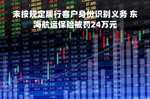 未按规定履行客户身份识别义务 东海航运保险被罚24万元