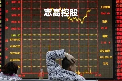 志高控股
