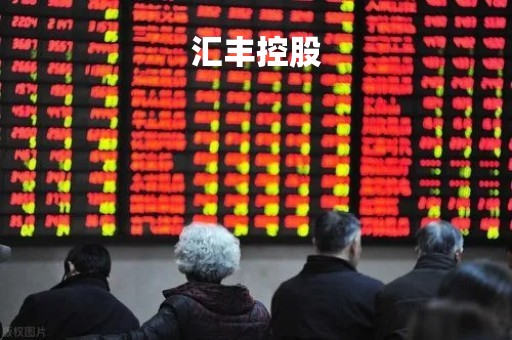 汇丰控股