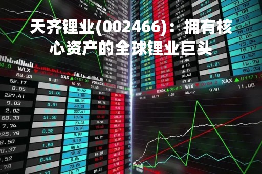 天齐锂业(002466)：拥有核心资产的全球锂业巨头