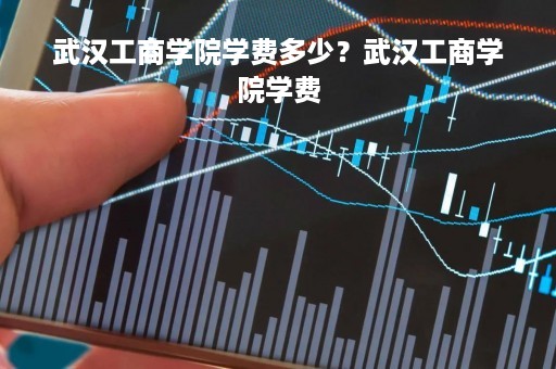 武汉工商学院学费多少？武汉工商学院学费