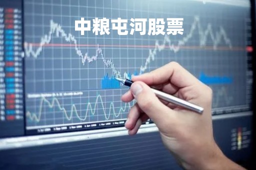 中粮屯河股票
