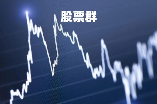 股票群