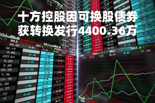 十方控股因可换股债券获转换发行4400.36万股